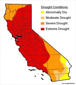 california drought update